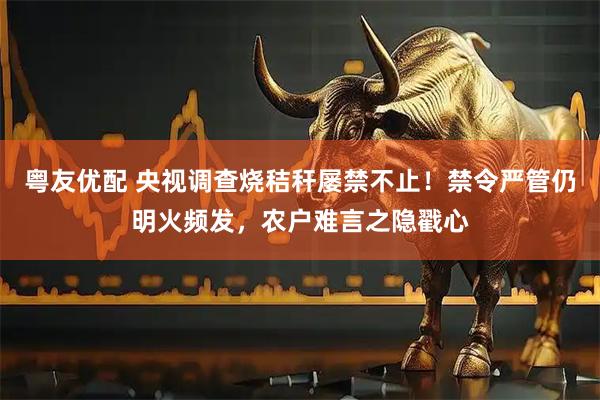 粤友优配 央视调查烧秸秆屡禁不止！禁令严管仍明火频发，农户难言之隐戳心