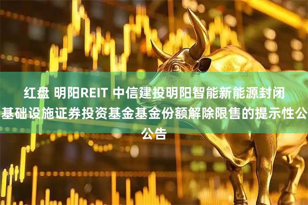 红盘 明阳REIT 中信建投明阳智能新能源封闭式基础设施证券投资基金基金份额解除限售的提示性公告