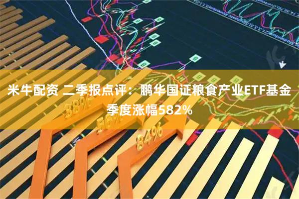 米牛配资 二季报点评：鹏华国证粮食产业ETF基金季度涨幅582%